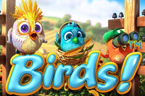 02122 birds