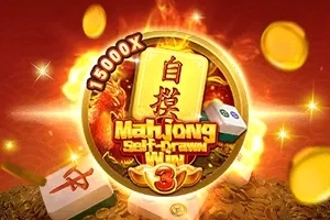 24951 mahjong self drawn win 3
