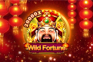 24968 wild fortune